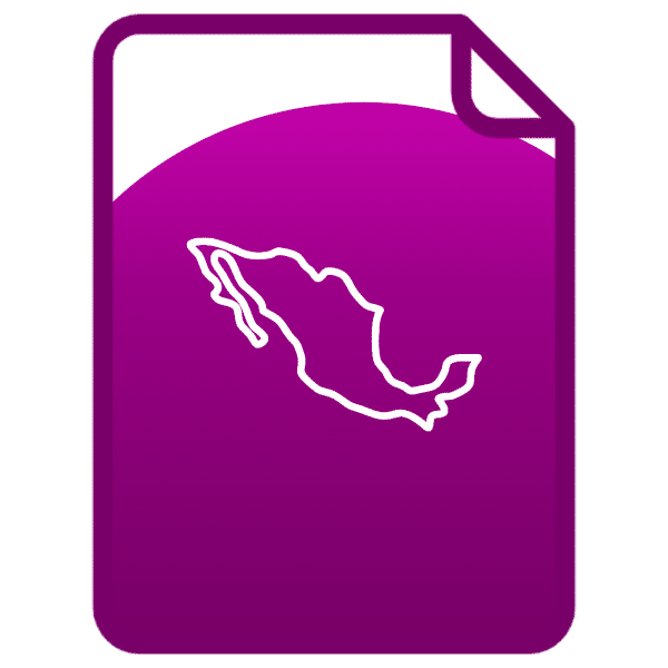 Anticipo constitución de empresas socios mexicanos