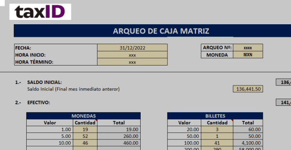 Formato formulado en Excel de arqueo de caja chica - Imagen 2