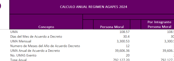 Papel de Trabajo Anual y Mensual AGAPES - Imagen 4