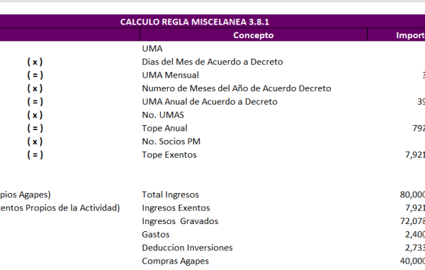 Papel de Trabajo Anual y Mensual AGAPES - Imagen 5