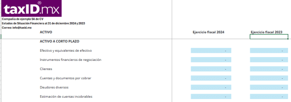 Estado de situación financiera (excel) - Imagen 2