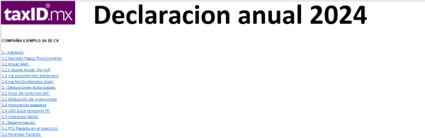 Papel de trabajo Declaración Anual 2024 Régimen General Personas Morales (SAT) - Imagen 2