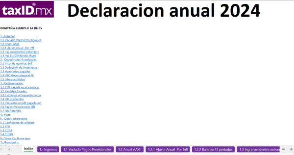 Paquete de papeles de trabajo Excel para impuestos Personas Morales - Imagen 3