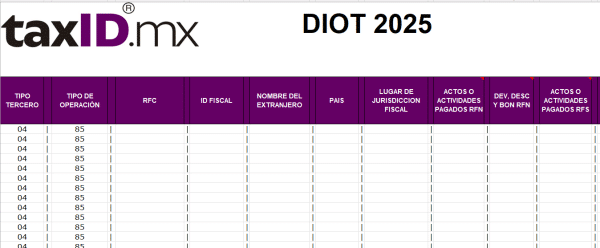 Nueva Carga Batch DIOT 2025 - Imagen 3