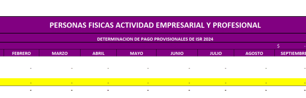 2024 Papel de Trabajo Declaración Anual Personas Físicas con Actividad Empresarial y Profesional (se presenta en 2025) - Imagen 4