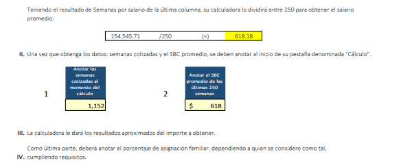 Calculadora de pensiones del IMSS en 2025 (Ley 73) - Imagen 4
