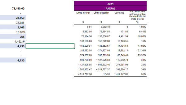 Papel de Trabajo para Declaración Anual 2024 de Personas Físicas (Sueldos y Salarios, a Presentar en 2025) - Imagen 3